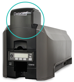 Example of an Input Hopper