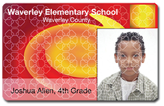 Example of Standard HoloKote Watermark